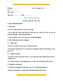Giáo án Bài 13: Sâu hại cây trồng Công nghệ 10 Cánh diều