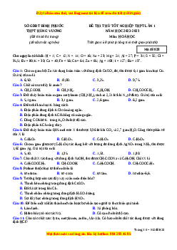 Đề thi thử Hóa học trường Hùng Vương lần 1 năm 2023
