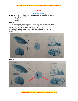 Giải Tiếng việt lớp 1 (Dành cho buổi học thứ hai)