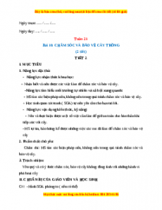 Giáo án TNXH 1 Kết nối tri thức Tuần 21