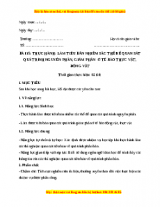 Giáo án Bài 15: Thực hành làm tiêu bản nhiễm sắc thể để quan sát quá trình nguyên phân Sinh học 10 Cánh diều