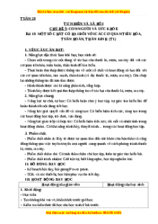 Giáo án Tự nhiên và xã hội 3 Cánh diều Bài 19: Một số chất có hại đối với các cơ quan tiêu hóa, tuần hoàn, thần kinh