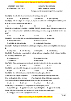 Đề thi học kì 1 Sinh học 12 năm 2023 trường THPT Yên Lạc 2 - Vĩnh Phúc