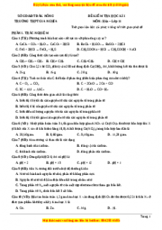 Đề thi học kì I Hóa lớp 11 trường THPT Gia Nghĩa - Đăk Nông