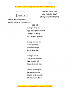 Đề thi cuối học kì 1 Ngữ Văn 7 Chân trời sáng tạo (Đề 10)