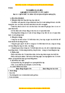 Giáo án Tự nhiên và xã hội 3 Kết nối tri thức Bài 23: Chăm sóc và bảo vệ cơ quan thần kinh