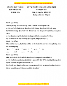 Đề thi vào 10 môn Hóa học năm 2023 - Trường THPT Chuyên Bình Định