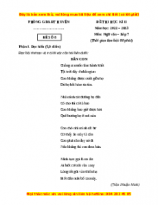 Đề thi cuối học kì 2 Ngữ Văn 7 Chân trời sáng tạo (Đề 8)