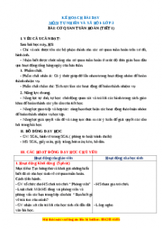 Giáo án Bài 21: Cơ quan tuần hoàn Tự nhiên và xã hội lớp 3 Chân trời sáng tạo