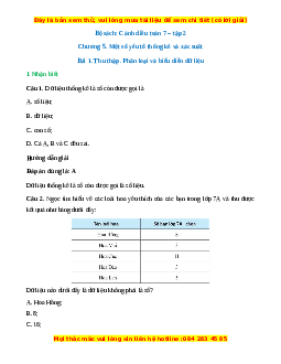 Bộ Trắc nghiệm kì 2 Toán 7 Cánh diều có đáp án