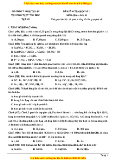 Đề thi học kì I Hóa lớp 11 trường THPT Tôn Đức Thắng - Ninh Thuận