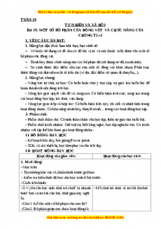 Giáo án Tự nhiên và xã hội 3 Kết nối tri thức Bài 15: Một số bộ phận của động vật và chức năng của chúng (Tiết 3)
