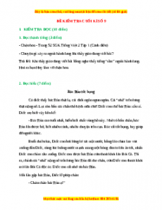 Đề thi cuối kì 1 Tiếng Việt lớp 2 Cánh diều (Đề 9)