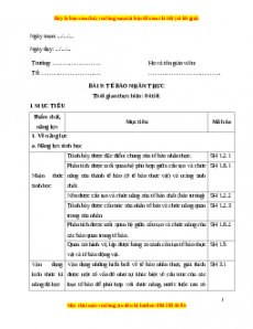 Giáo án Sinh học 10 Bài 9 (Chân trời sáng tạo): Tế bào nhân thực