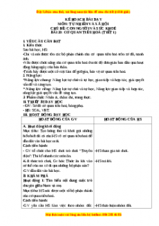 Giáo án Bài 20: Cơ quan tiêu hóa Tự nhiên và xã hội lớp 3 Chân trời sáng tạo