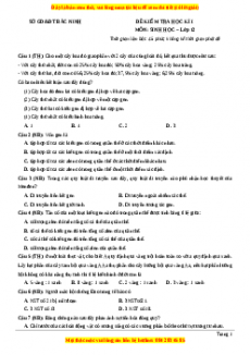 Đề thi học kì 1 Sinh học 12 năm 2023 Sở GD_ĐT Bắc Ninh