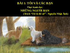 Giáo án powerpoint Thực hành đọc Những người bạn | Kết nối tri thức Ngữ văn 6