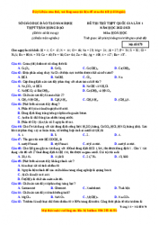 Đề thi thử Hóa Học trường Trần Hưng Đạo lần 1 năm 2023