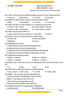 Đề thi học kì 1 Sinh học 11 Sở GD_ĐT Vĩnh Phúc
