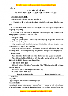 Giáo án Tự nhiên và xã hội 3 Kết nối tri thức Bài 16: Sử dụng hợp lí thực vật và động vật