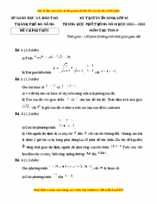 Đề chính thức Toán vào 10 TP Đà Nẵng năm 2022 - 2023