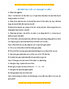 Đề thi giữa kì 2 Sinh học 10 Cánh diều (Đề 2)