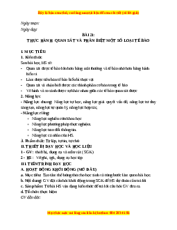 Giáo án Bài 21 KHTN 6 Kết nối tri thức (2024): Thực hành: Quan sát và phân biệt một số loại tế bào