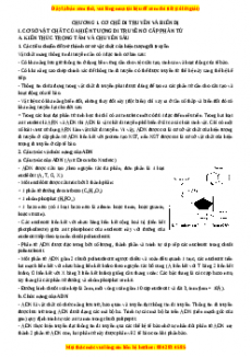 Bồi dưỡng học sinh giỏi Sinh Học 12 - Phan Khắc Nghệ có lời giải