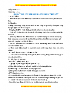 Giáo án Bài 21 KHTN 6 Cánh diều (2024): Thực hành phân chia các nhóm thực vật