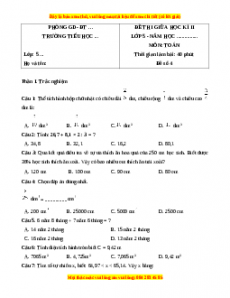 Đề thi giữa kì 2 Toán 5 năm 2023 (Đề 4)