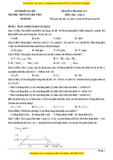 Đề thi học kì I Hóa lớp 11 trường THPT Nguyễn Trãi - Hà Nội