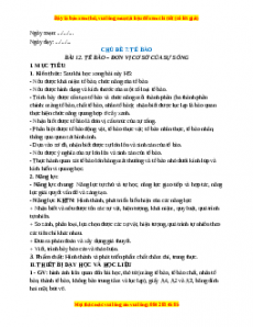 Giáo án Bài 12 KHTN 6 Cánh diều (2024): Tế bào-Đơn vị cơ sở của sự sống