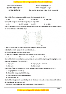 Đề thi học kì 1 Sinh học 11 trường THPT Chuyên Lương Thế Vinh - Đồng Nai