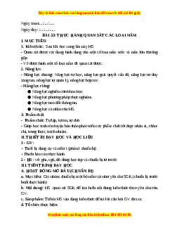 Giáo án Bài 33 KHTN 6 Kết nối tri thức (2024): Thực hành quan sát các loại nấm