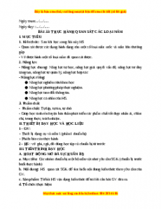 Giáo án Bài 33 KHTN 6 Kết nối tri thức (2024): Thực hành quan sát các loại nấm