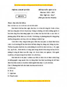 Đề thi giữa kì 2 Ngữ Văn lớp 7 Cánh diều có đáp án (Đề 9)