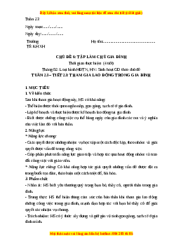 Giáo án Hoạt động trải nghiệm 7 Cánh diều Chủ đề 6: Tập làm chủ gia đình