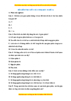 Đề thi giữa kì 2 Sinh học 10 Kết nối tri thức (Đề 4)