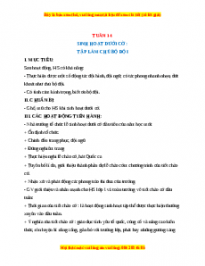 Giáo án HĐTN  1 Cánh diều Tuần 14