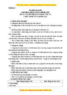 Giáo án Tự nhiên và xã hội 3 Cánh diều Bài 12: Các bộ phận của thực vật và chức năng của chúng