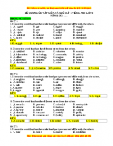 Bộ đề cương Tiếng anh 8 ôn tập học kì 1 năm 2023 - Đề 3