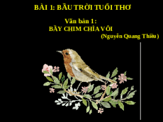 Giáo án powerpoint Bầy chim chìa vôi | Kết nối tri thức Ngữ văn 7