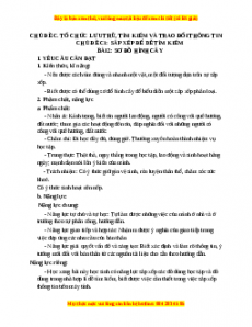 Giáo án Tin học 3 Cánh diều Bài 2: Sơ đồ hình cây