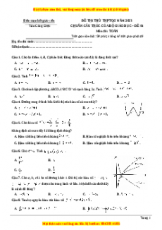 Đề thi thử THPT Quốc Gia môn Toán có đáp án (đề 1 ) - thầy Trần Công Diệu