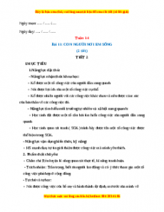 Giáo án TNXH 1 Kết nối tri thức Tuần 14
