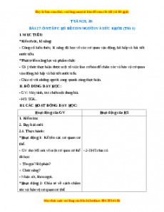 Giáo án Ôn tập về chủ đề Con người và sức khỏe Tự nhiên xã hội 2 Kết nối tri thức