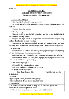 Giáo án Tự nhiên và xã hội 3 Kết nối tri thức Bài 22: Cơ quan thần kinh