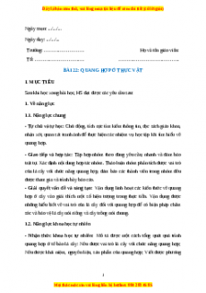 Giáo án Sinh học 7 Kết nối tri thức Bài 22: Quang hợp ở thực vật