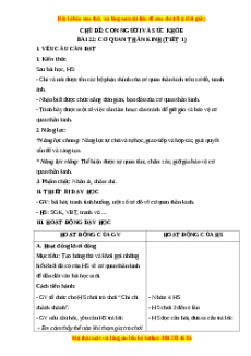 Giáo án Bài 22: Cơ quan thần kinh Tự nhiên và xã hội lớp 3 Chân trời sáng tạo
