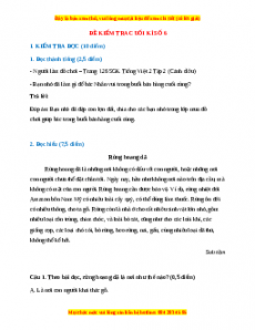 Đề thi cuối kì 2 Tiếng Việt lớp 2 Cánh diều (Đề 6)